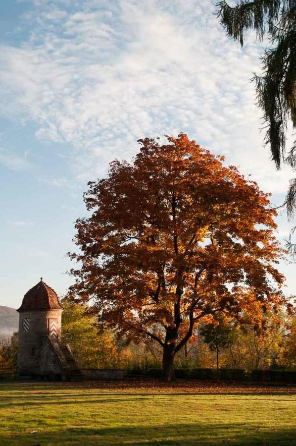 Zimmervermietung Vock Eschwege Buitenkant foto